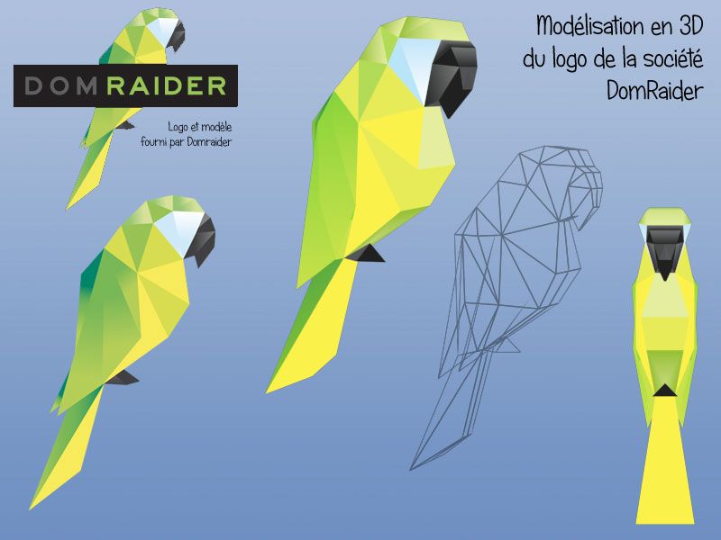 Logo Domraider en 3D